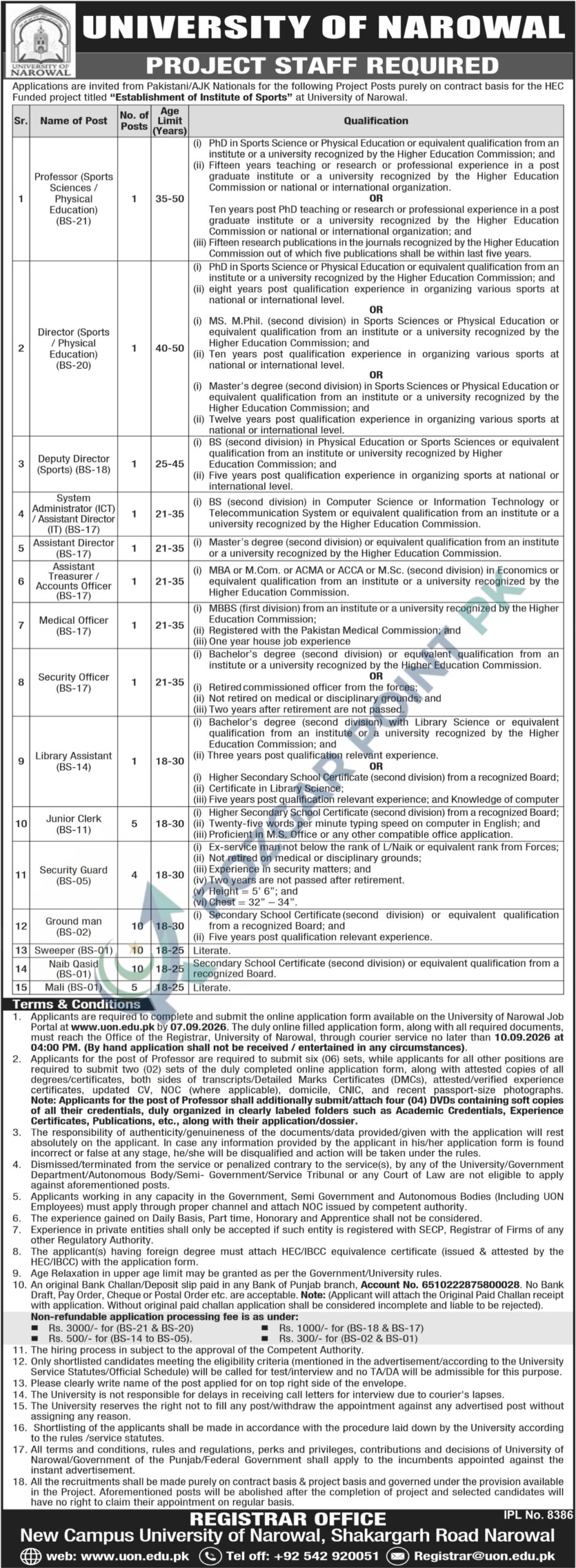 University of Narowal Jobs 2026
