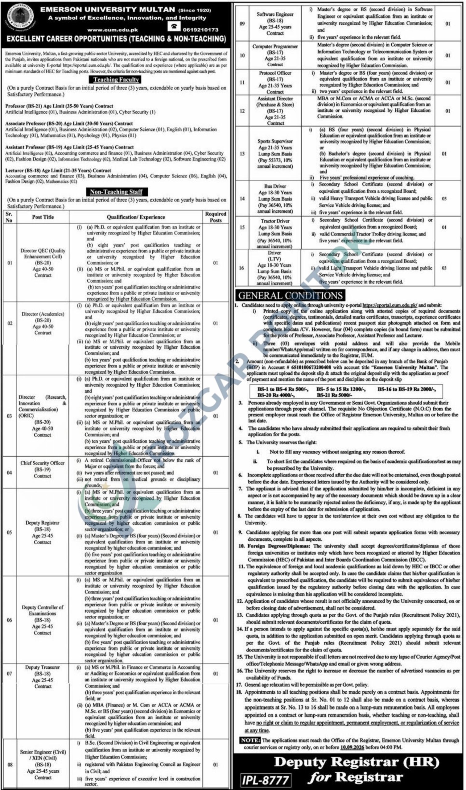 Emerson University Multan Jobs 2026