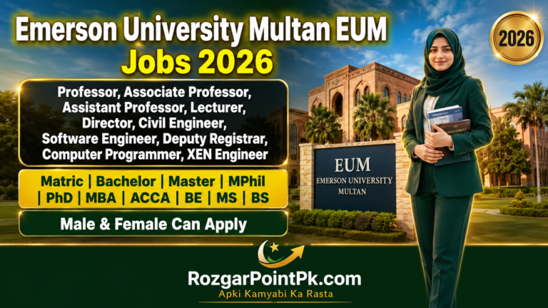 Emerson University Multan Jobs 2026