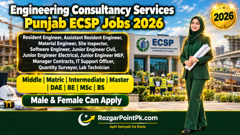 Engineering Consultancy Services Punjab Job 2026